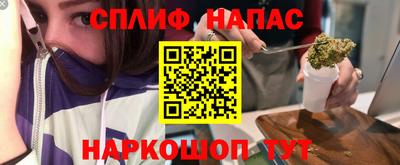 мдпв Партизанск