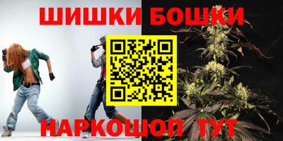 мдпв Партизанск