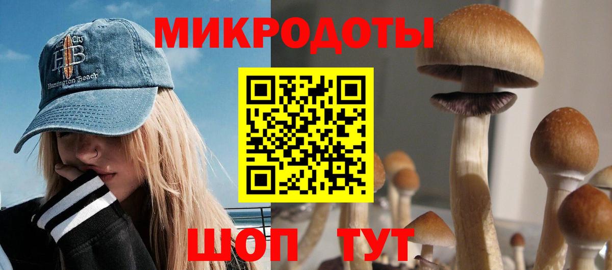 Псилоцибиновые грибы GOLDEN TEACHER Тында