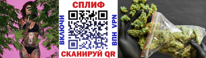 Канабис гибрид  как найти   Тында 